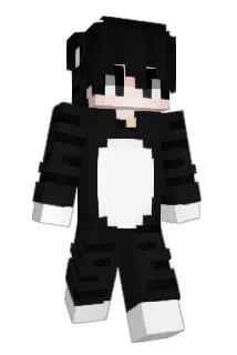 Swarplyy Minecraft avatar full body