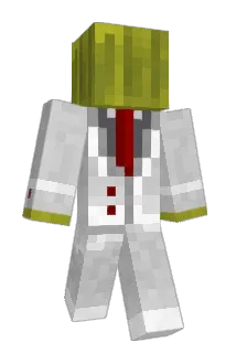 Swastedd Minecraft avatar full body
