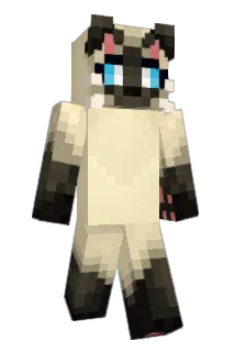 SwaySoup Minecraft avatar full body