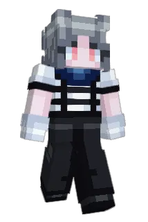 SweB1T Minecraft avatar full body