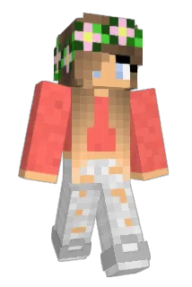 Sweetdft Minecraft avatar full body
