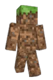 Swfe Minecraft avatar full body