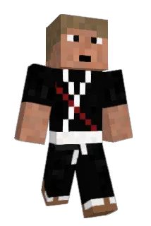 Swiftblood7 Minecraft avatar full body