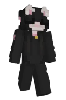 Swiftnessplayer Minecraft avatar full body