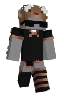 Swiftwr Minecraft avatar full body