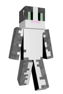 Swimdragon999 Minecraft avatar full body