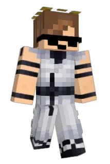Swimper Minecraft avatar full body