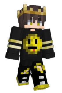 SwinDLer0012 Minecraft avatar full body