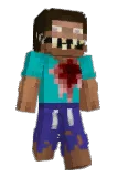 Swinzee Minecraft avatar full body