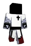 Swip3 Minecraft avatar full body