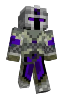 Swipples Minecraft avatar full body