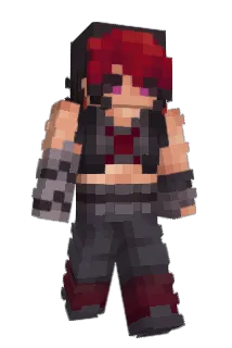 Swirft Minecraft avatar full body