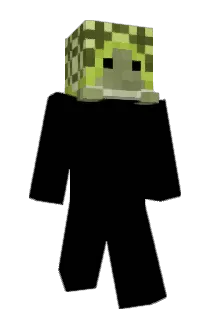 Swirljoy77 Minecraft avatar full body