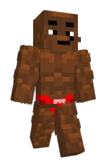 SwitchyPot69 Minecraft avatar full body