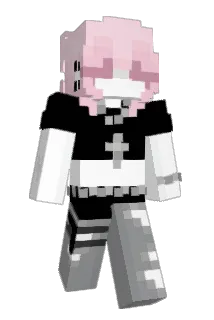 Swnie Minecraft avatar full body