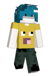Swokk Minecraft avatar full body