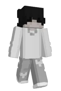 Swoless Minecraft avatar full body