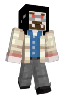 Swte Minecraft avatar full body