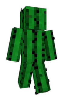 SynType Minecraft avatar full body
