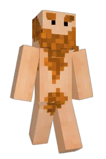 Synide Minecraft avatar full body