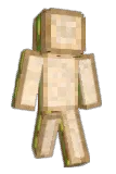 Sypll Minecraft avatar full body