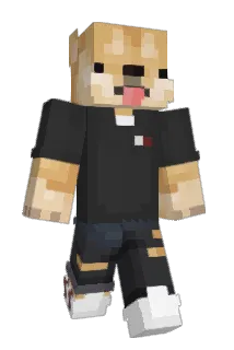 Sysel_Hraje Minecraft avatar full body