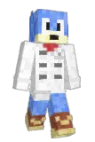 System905 Minecraft avatar full body