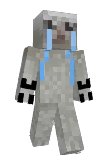 T00LS Minecraft avatar full body