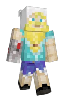 T04ZT3R Minecraft avatar full body