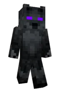 T0OK Minecraft avatar full body