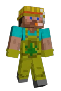 T0RDR1N Minecraft avatar full body