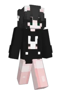 T0RT0lSE Minecraft avatar full body