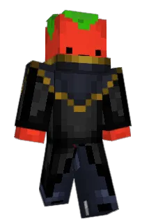 T0matoSk Minecraft avatar full body