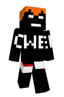 T0mczeski17 Minecraft avatar full body