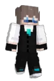 T10708 Minecraft avatar full body