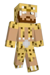 T1O Minecraft avatar full body