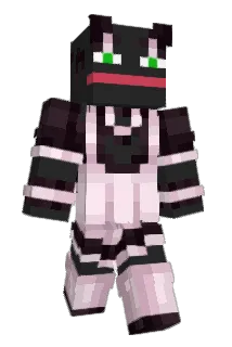 T1m41k56 Minecraft avatar full body