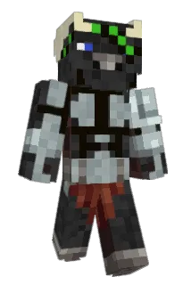 T1m_Gott Minecraft avatar full body