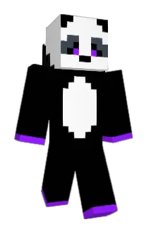 T2Clean2 Minecraft avatar full body
