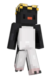 T35_Botond Minecraft avatar full body