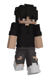 T3minj Minecraft avatar full body