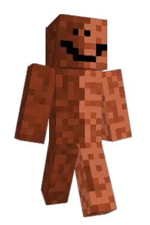 T4G3 Minecraft avatar full body