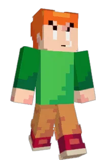 T4_X Minecraft avatar full body