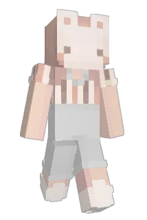 T4br1s Minecraft avatar full body