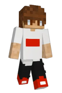 T4ctical Minecraft avatar full body