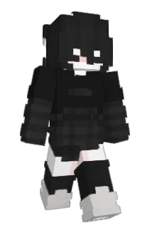 T4mid1 Minecraft avatar full body