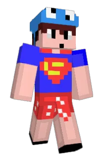 T4ncks Minecraft avatar full body