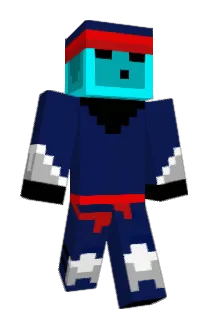 T4ppi Minecraft avatar full body