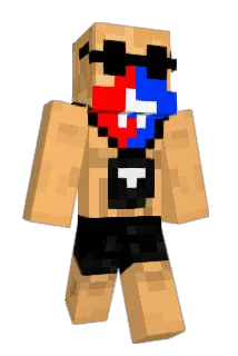 T65Z Minecraft avatar full body