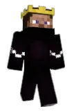 T9BI Minecraft avatar full body